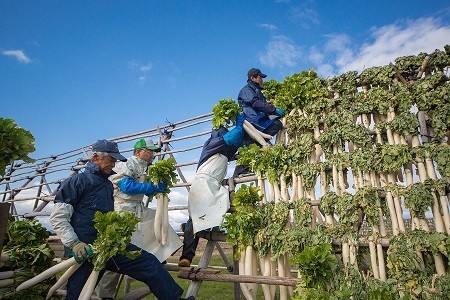 認定品について　～三重ブランド「伊勢たくあん」とは～