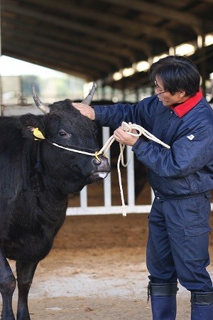 認定品について　～三重ブランド「松阪牛」とは～