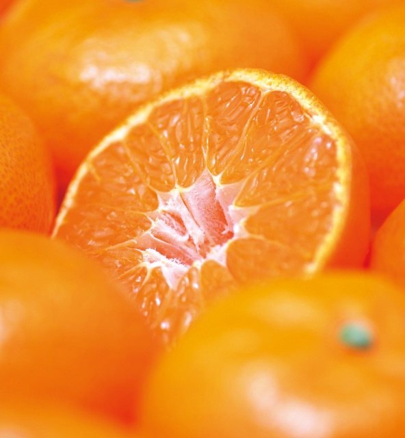 Nanki Mandarin Orange