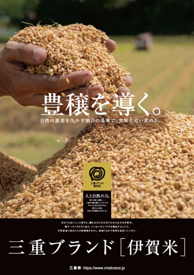 伊賀米